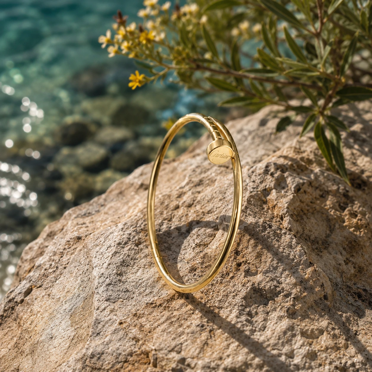 بنگل میخ کارتیه